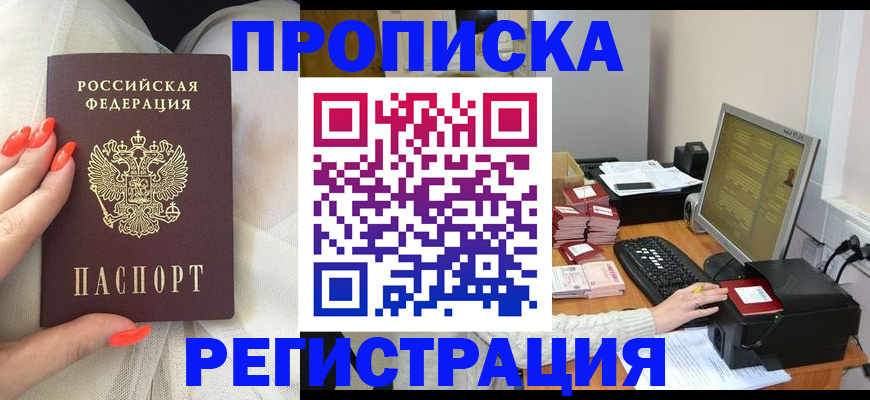 где прописаться в Димитровграде